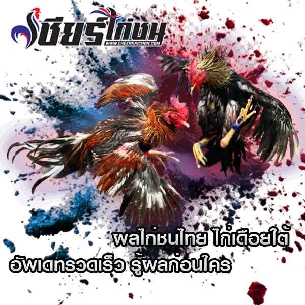 sec 1 - 3cheerkaichon