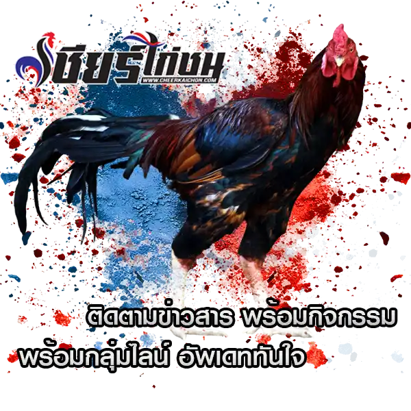 sec 1 - 4cheerkaichon